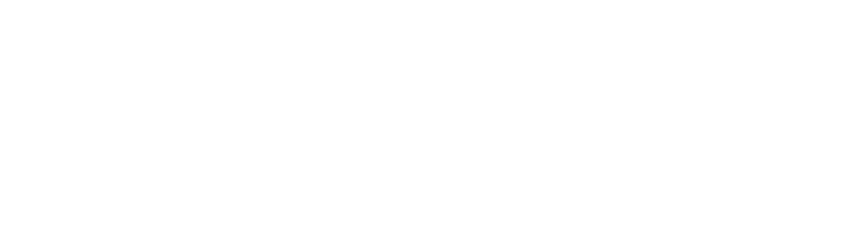 fly-around-logo